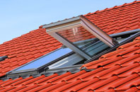 Halling roof window